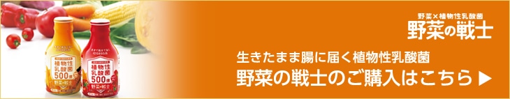 生きたまま腸に届く植物性乳酸菌 野菜の戦士のご購入はこちら
