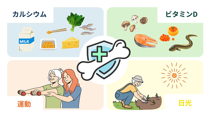 骨の健康に必要な栄養素