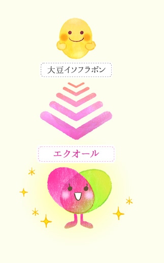 大豆イソフラボンの進化形成分「エクオール」