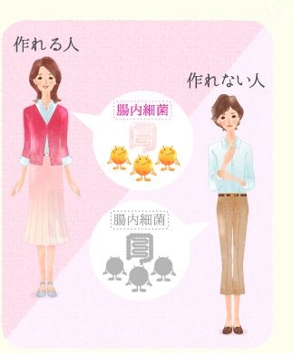 エクオールを作れる人は約2人に1人