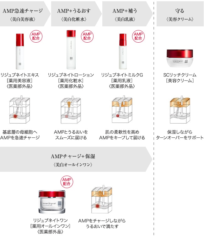 インナーシグナル誕生秘話 3 Sp 大塚製薬の公式通販 オオツカ プラスワン