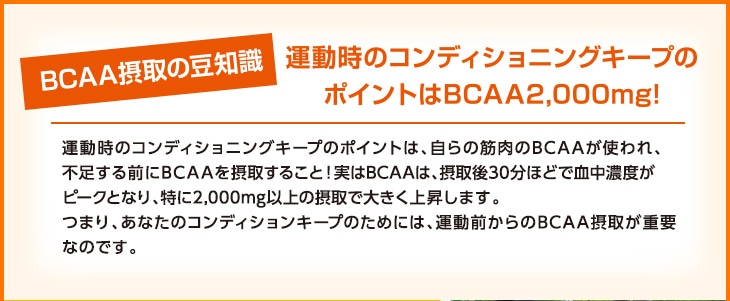 BCAAێ̓mE^̃RfBVjOL[ṽ|CgBCAA2,000mgI
