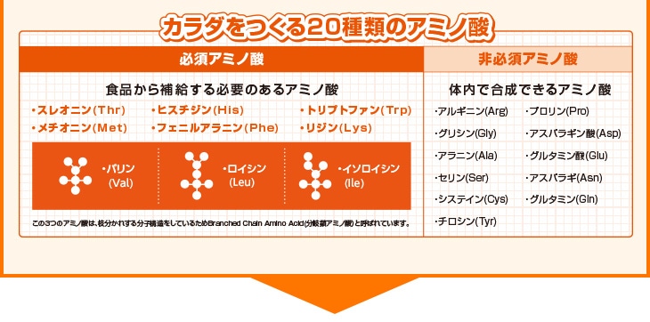 J_20ނ̃A~m_