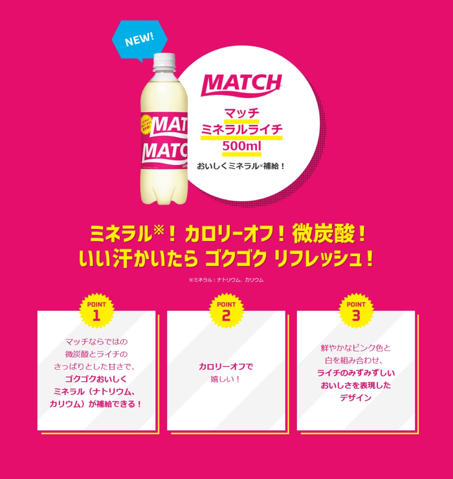 マッチ ミネラルライチ 500mlペットボトル 大塚食品の公式通販 セレクトショップ マッチ ミネラルライチ 500mlペットボトル 大塚食品の公式通販 セレクトショップ