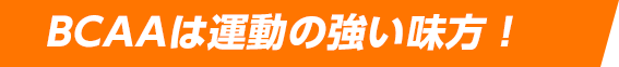 BCAAは運動の強い味方!