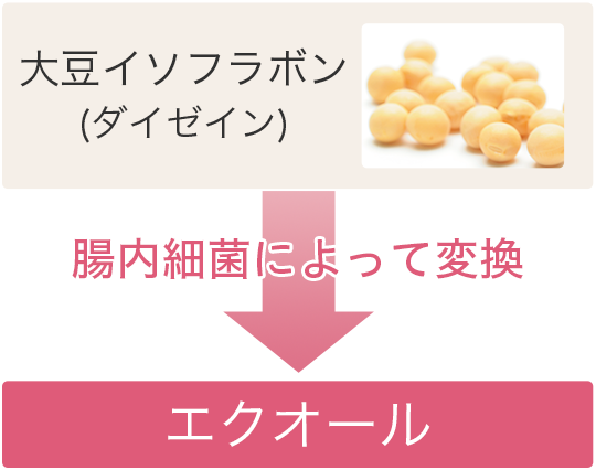 更年期を迎えたら 骨にも注目です 骨の健康を手に入れていつまでもキレイに 大塚製薬の公式通販 オオツカ プラスワン