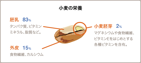小麦の栄養