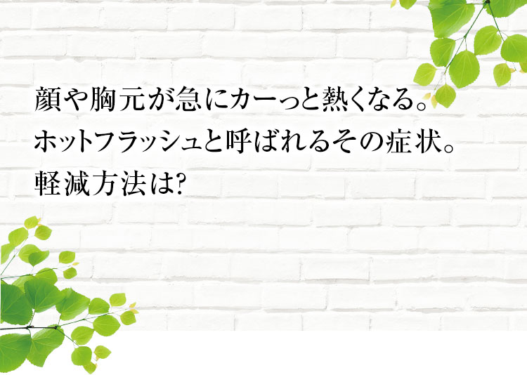 顔や胸元が急にカーっと熱くなる ホットフラッシュの軽減方法は 大塚製薬の公式通販 オオツカ プラスワン