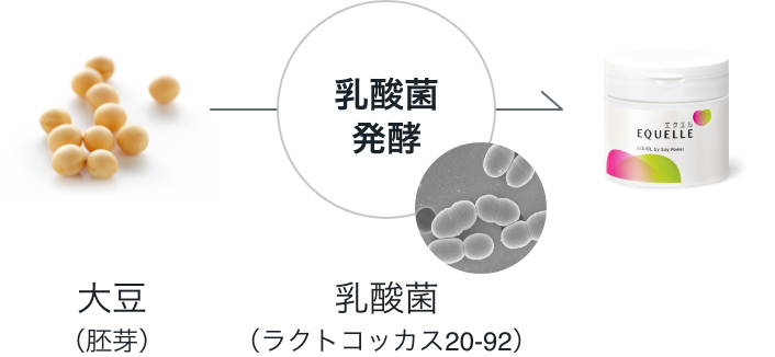 大塚製薬　エクエル エクエル 大塚製薬 『エクエル 112粒 』エクエル エクオール 大豆