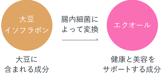 哤C\t{׋ۂɂăGNI[ɕϊ