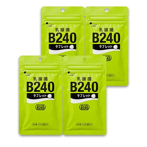 _B240^ubg 4