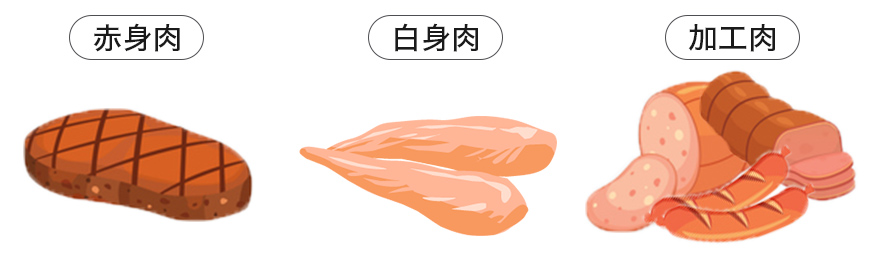 赤身肉・白身肉・加工肉