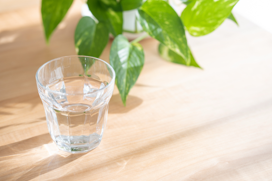 コップ1杯の水